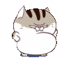 :ami-fat-cat-(16):
